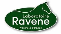 Ravene