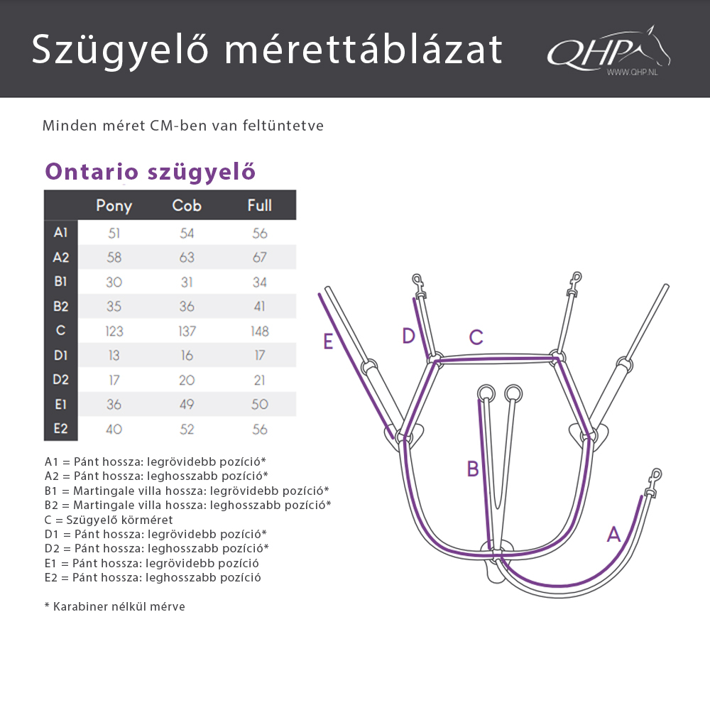 QHP Ontario szügyelő