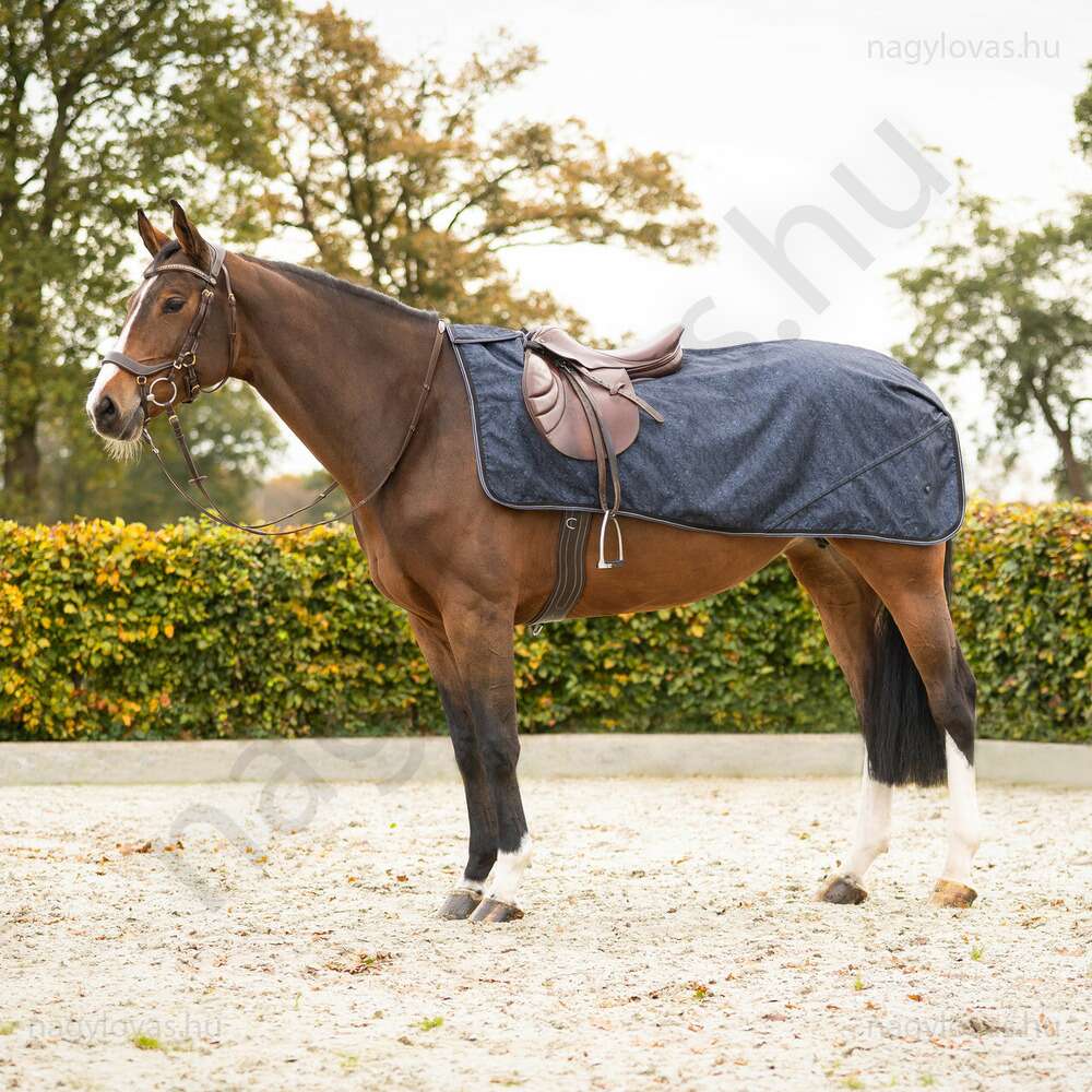 010-0006-609