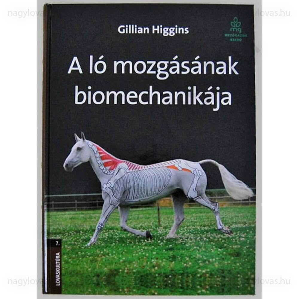 A ló mozgásának biomechanikája