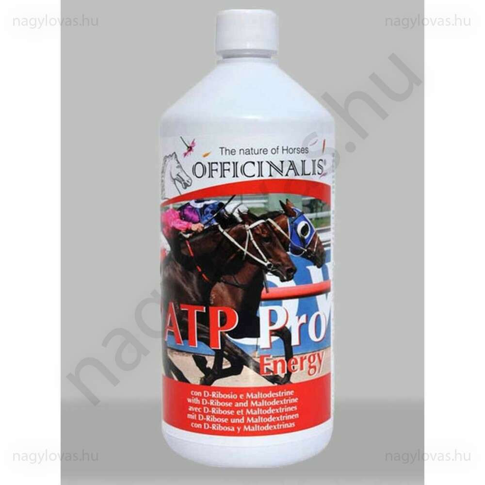 Atp Pro Energy 1 kg