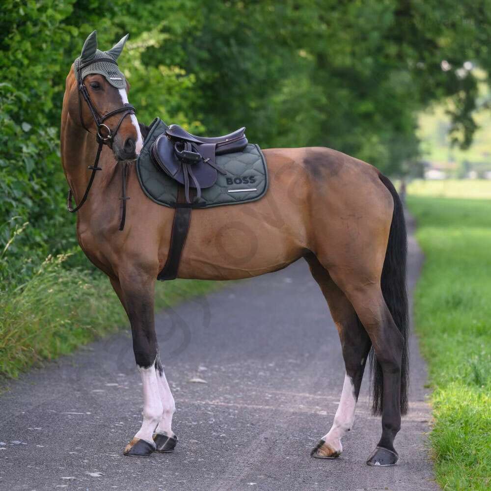 Boss Cheltenham Jumping nyeregalátét pine grove
