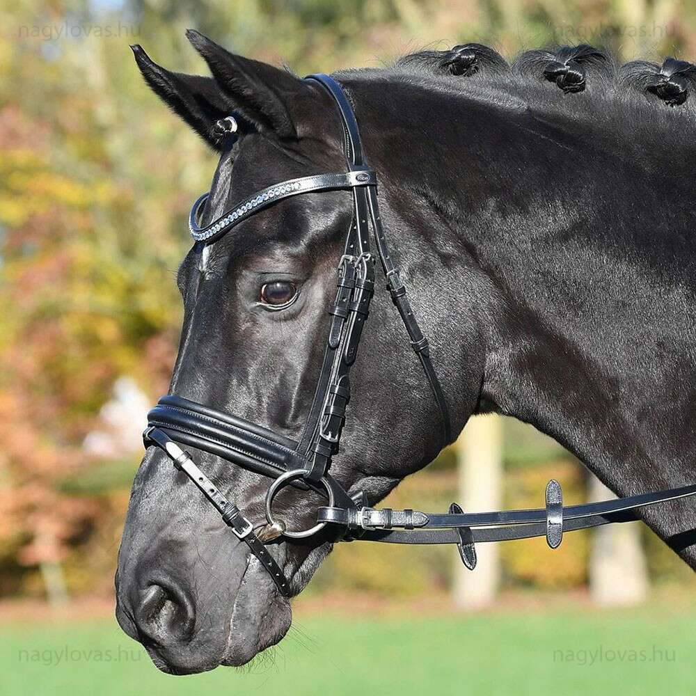 Busse Comfort kantár cob