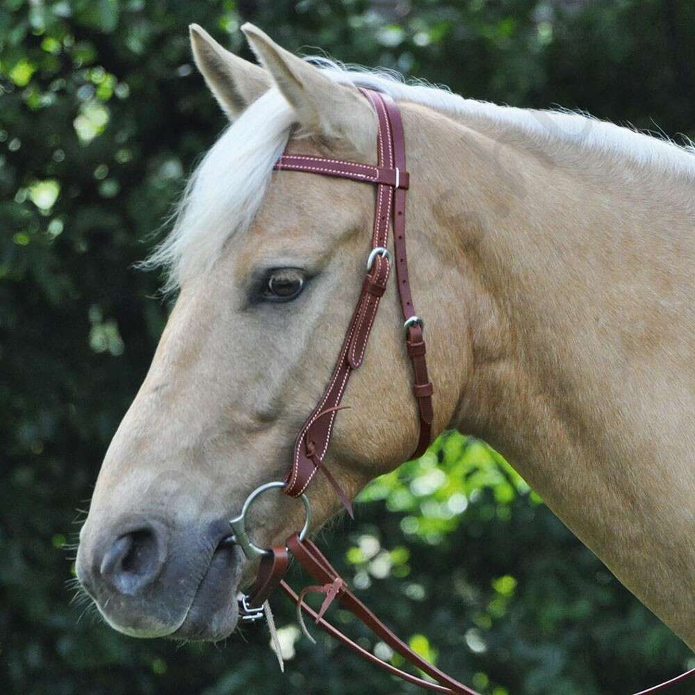 Busse Russet western kantár