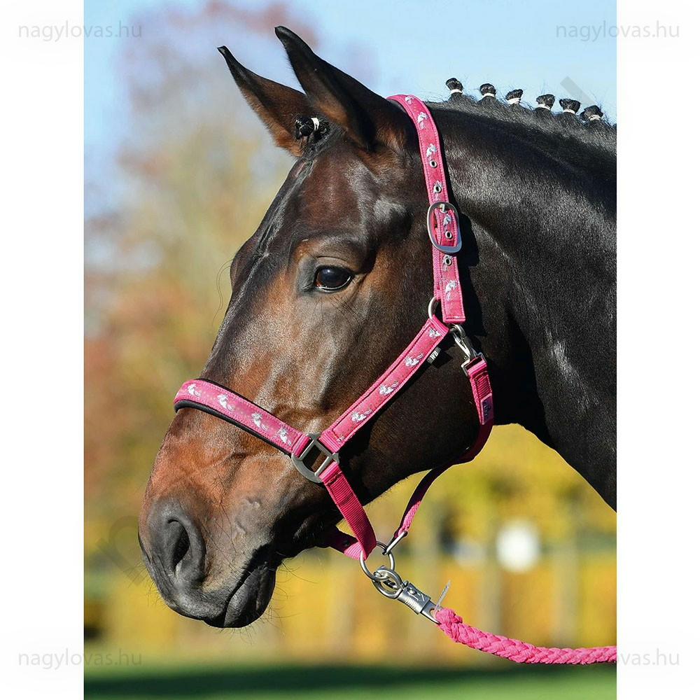 Busse Unicorn kötőfék
