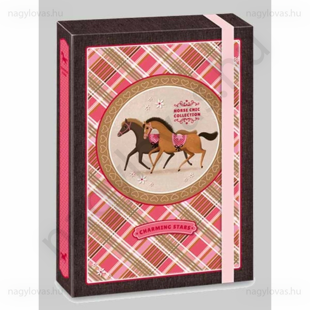 Charming Stars A/4 füzetbox 