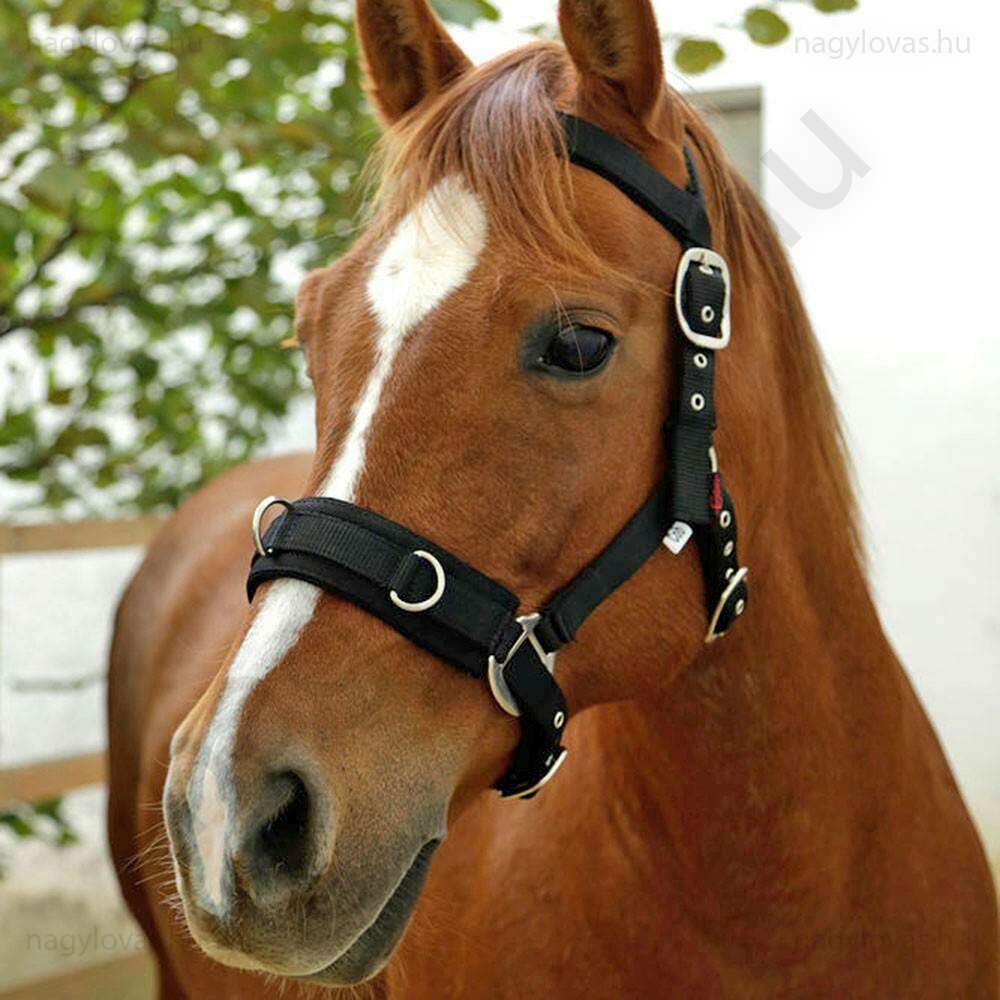 Covalliero kötőfék futószárazáshoz fekete