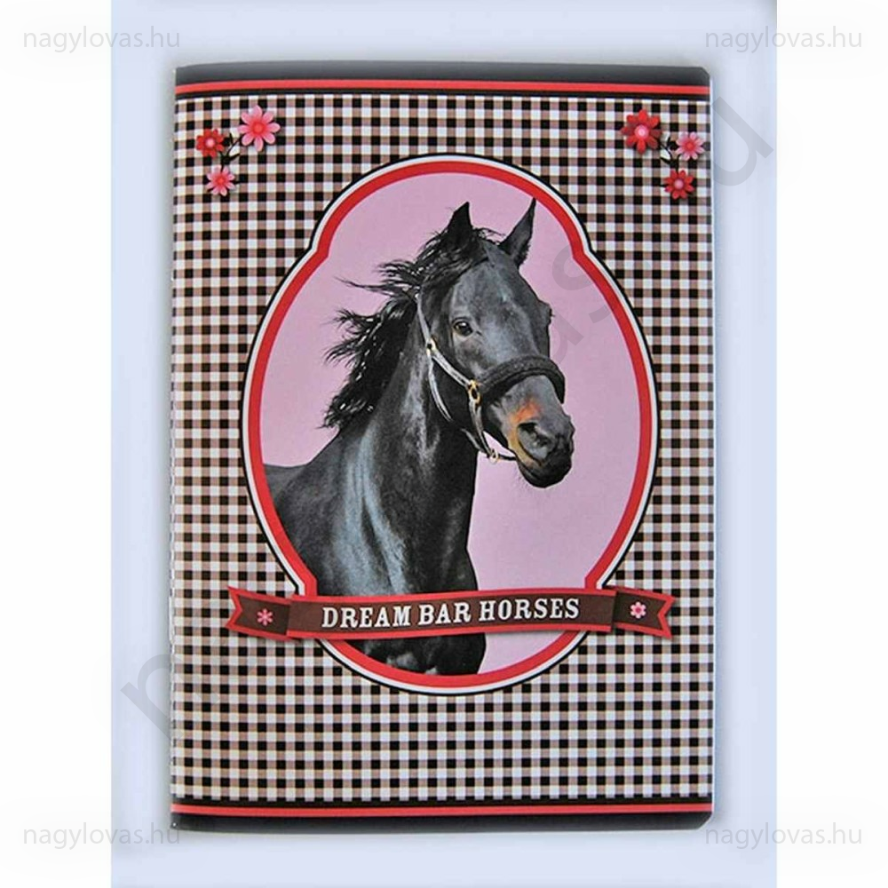 Dream bar horses sima A/5 füzet