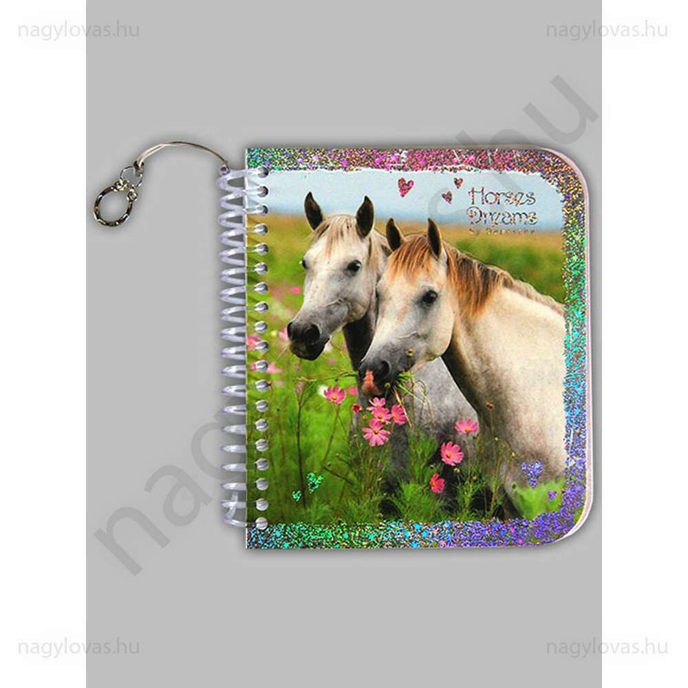 Horse Dreams spirál füzet 13x11cm