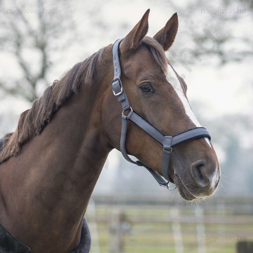 Kötélkötőfék szárral QHP  