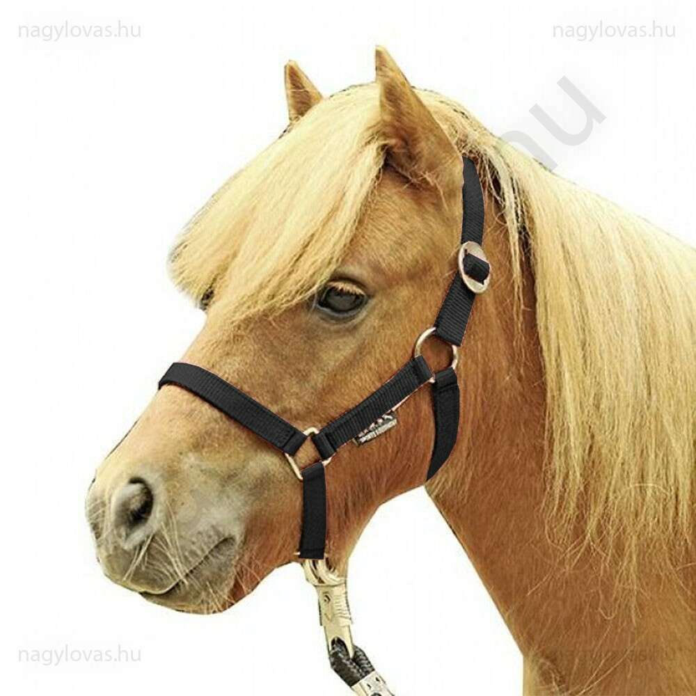Kötőfék gurtnis bélelt