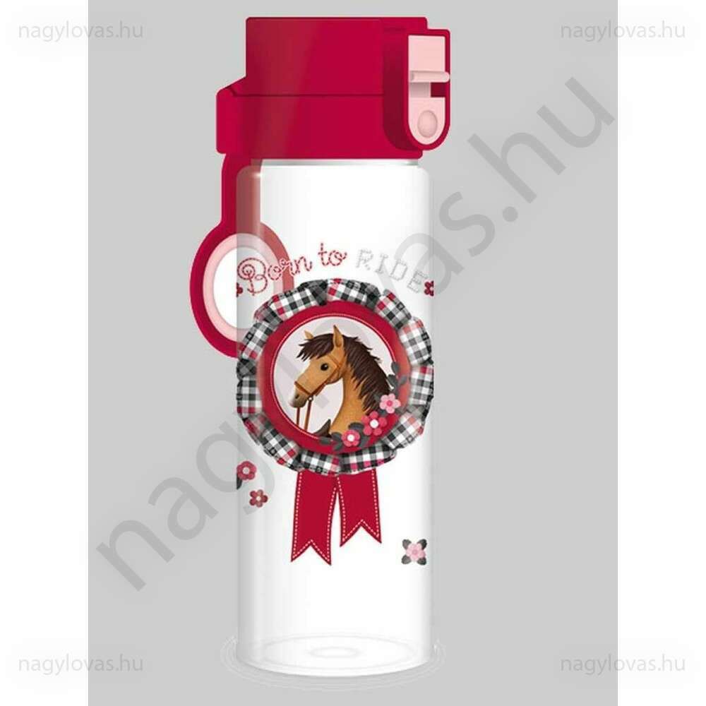 Kulacs Born to ride 500ml