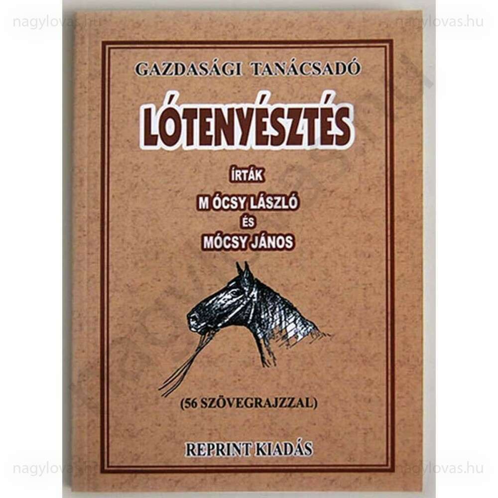 Lótenyésztés