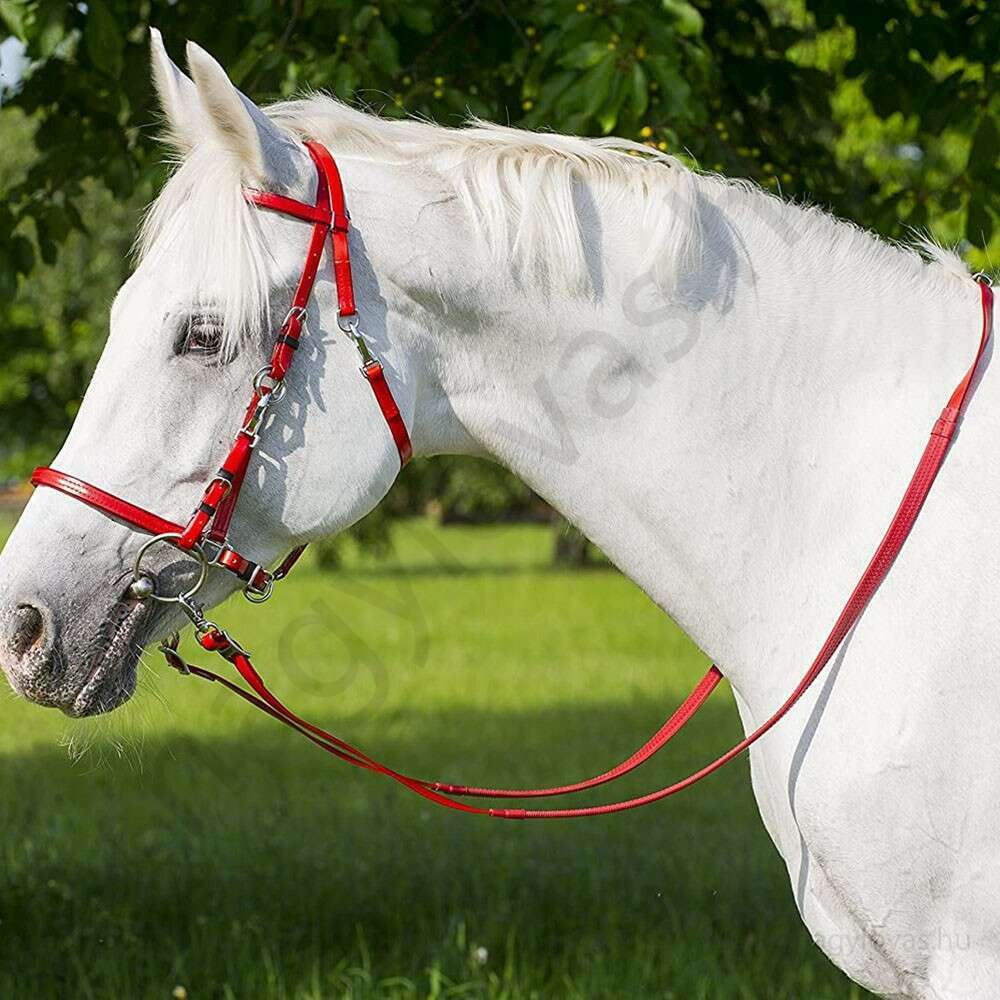 красная уздечка