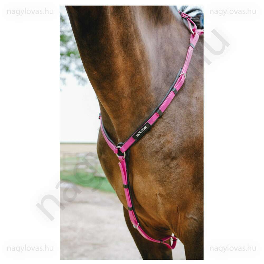 Norton műanyag szügyelő martingállal pink