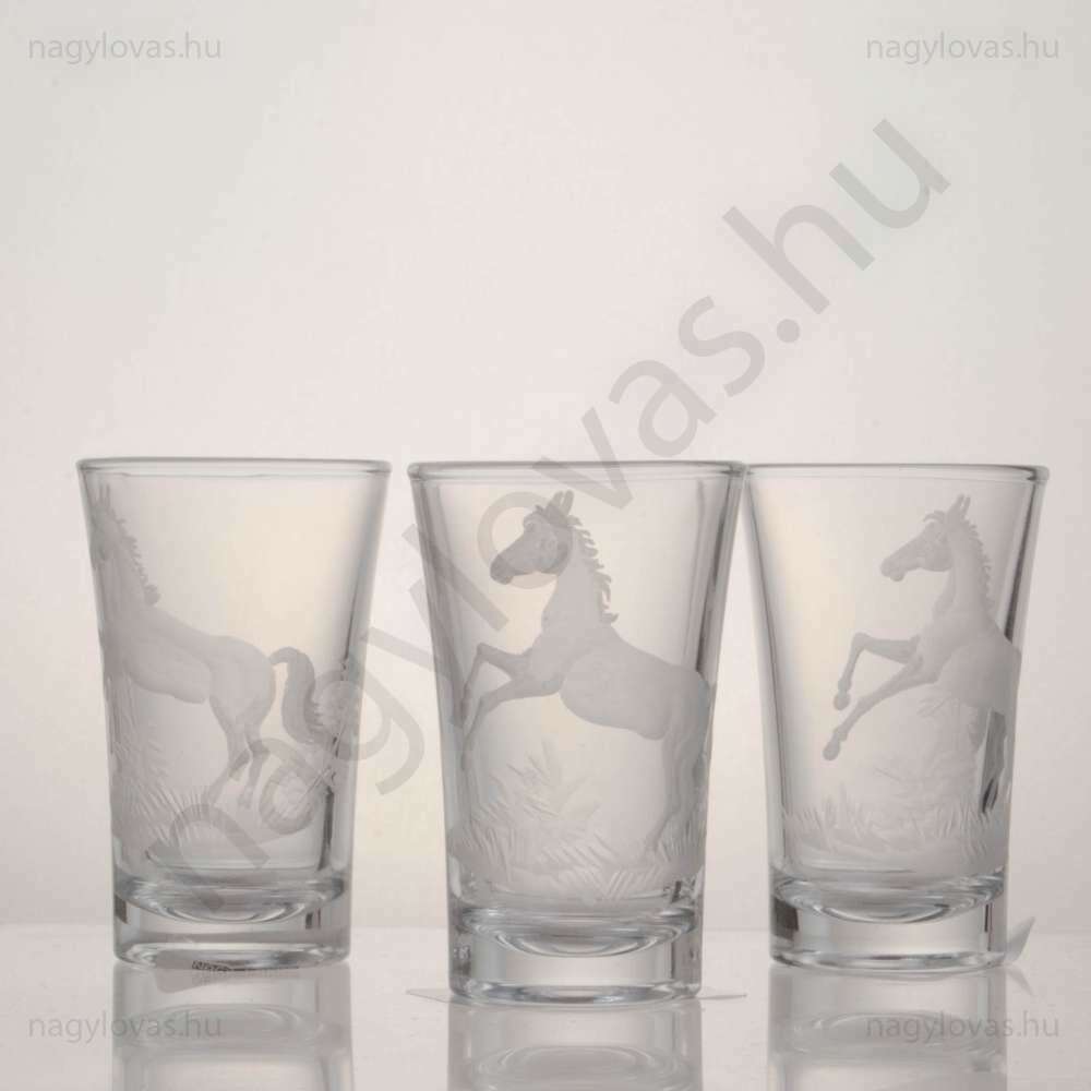 Pálinkás csiszolt pohár 6db/szett 4,5cl