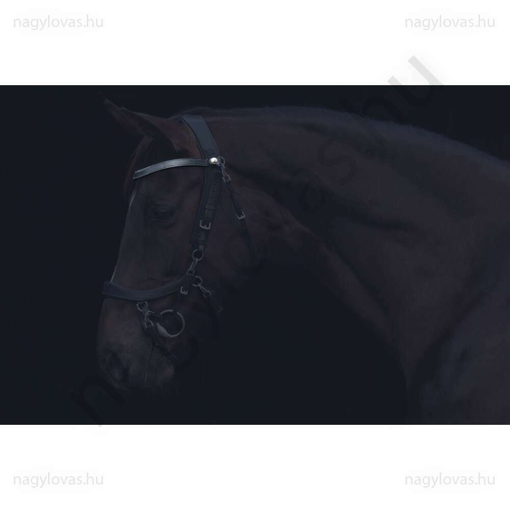 QHP  FaySport homlokszíj fekete póni