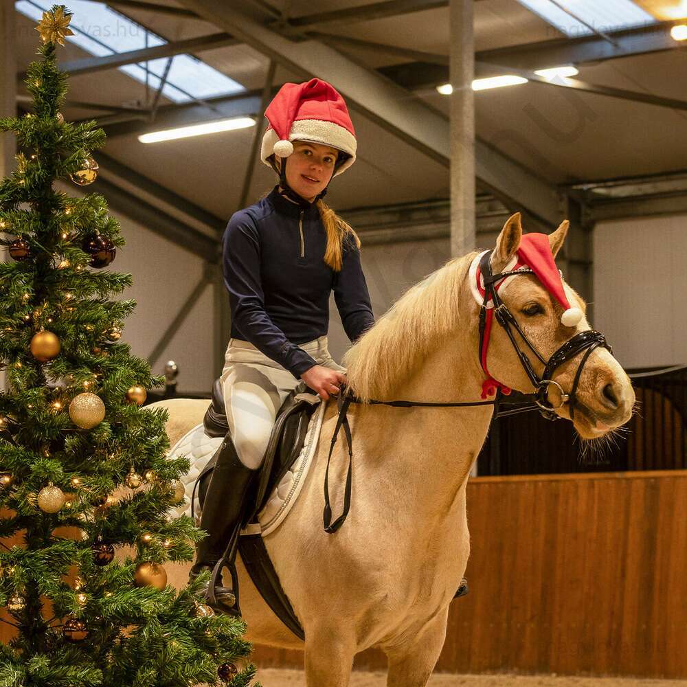 QHP karácsonyi fejdísz lónak  