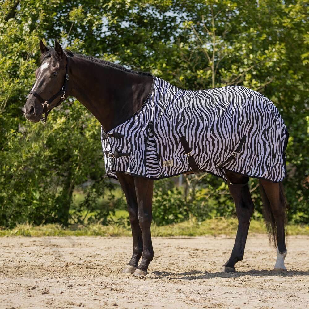 QHP légytakaró zebra 145 cm