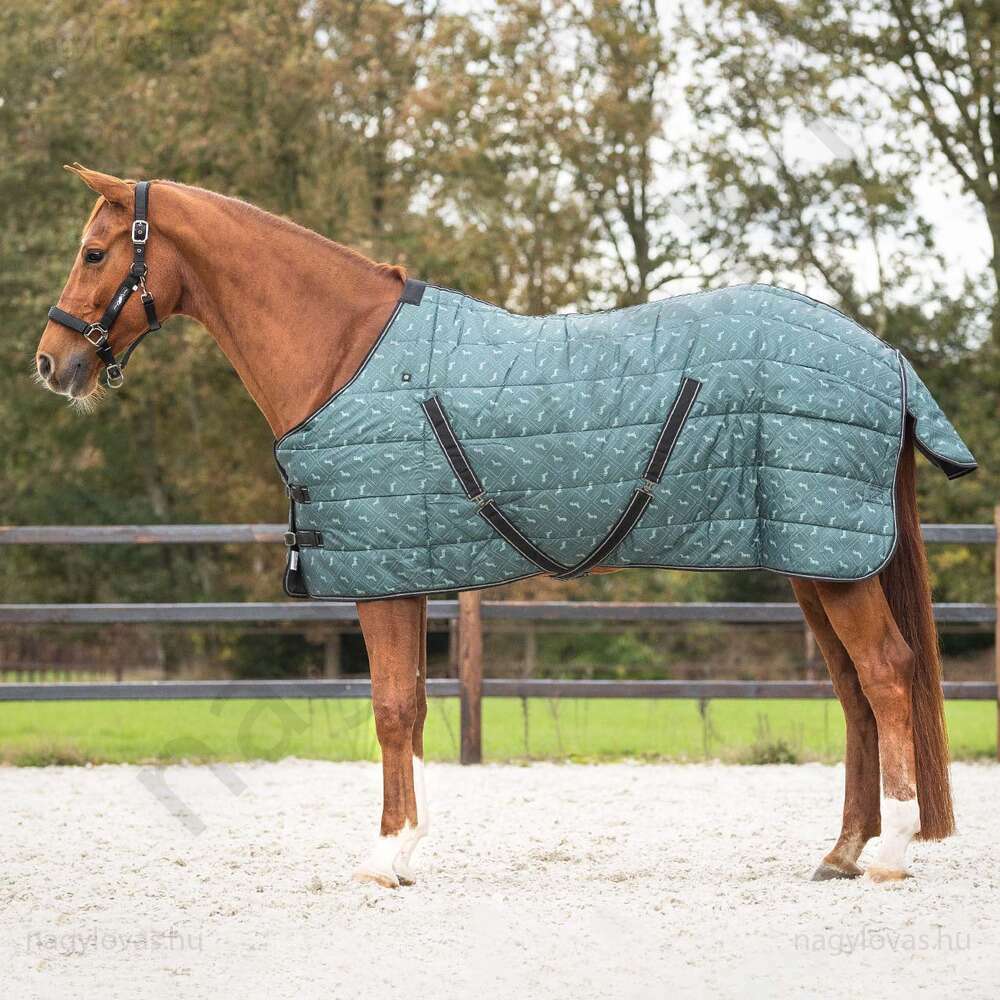QHP lótakaró istálló 200 gr. zöld 165 cm