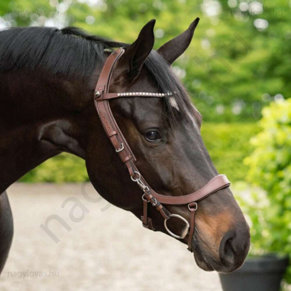 QHP ShineBright homlokszíj barna/fehér Cob
