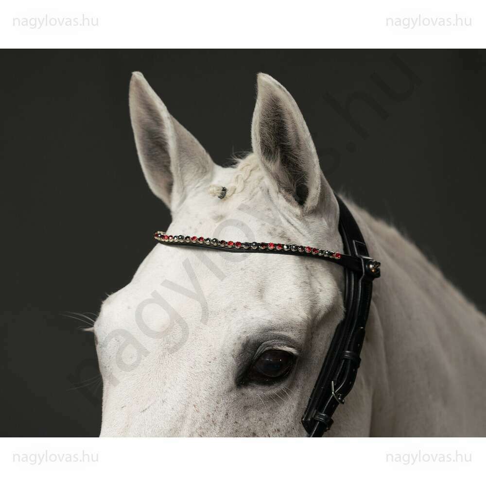QHP ShineBright homlokszíj fekete/burgundi  póni