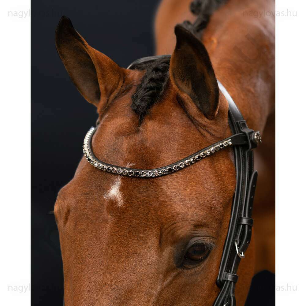 QHP ShineBright homlokszíj fekete/fekete póni