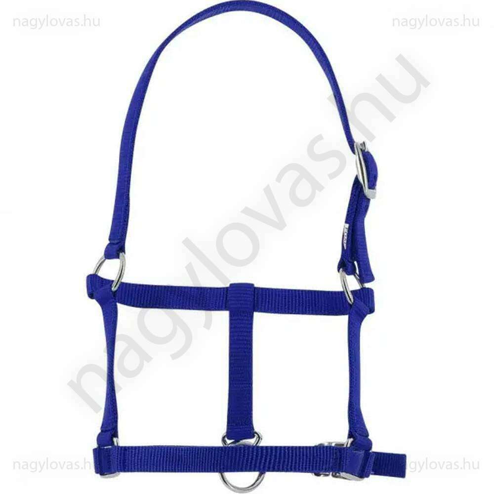 Riding World csikó kötőfék kék
