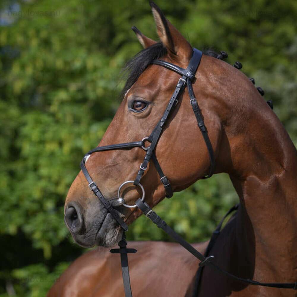 Riding World mexikói orrfékes kantár fekete