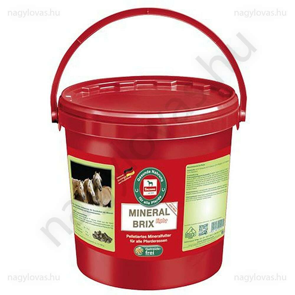 Salvana Mineral Brix 8kg