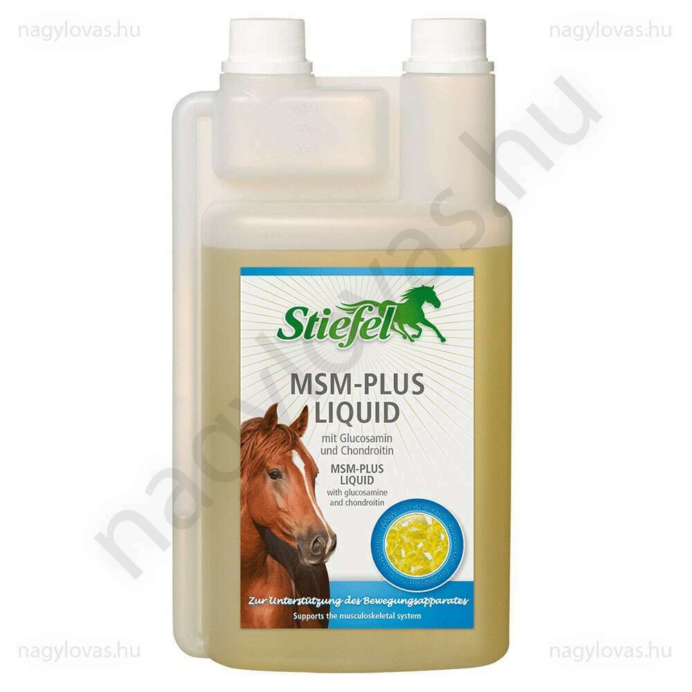 Stiefel MSM-Plus Glucosamine+Chondroitin 1l