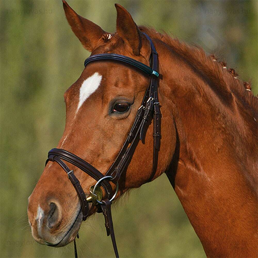 Stübben Leitrim tobacco/barna kantár cob