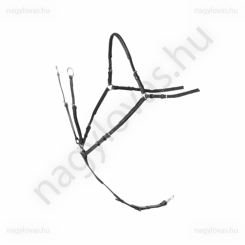 Stübben szügyelő martingállal