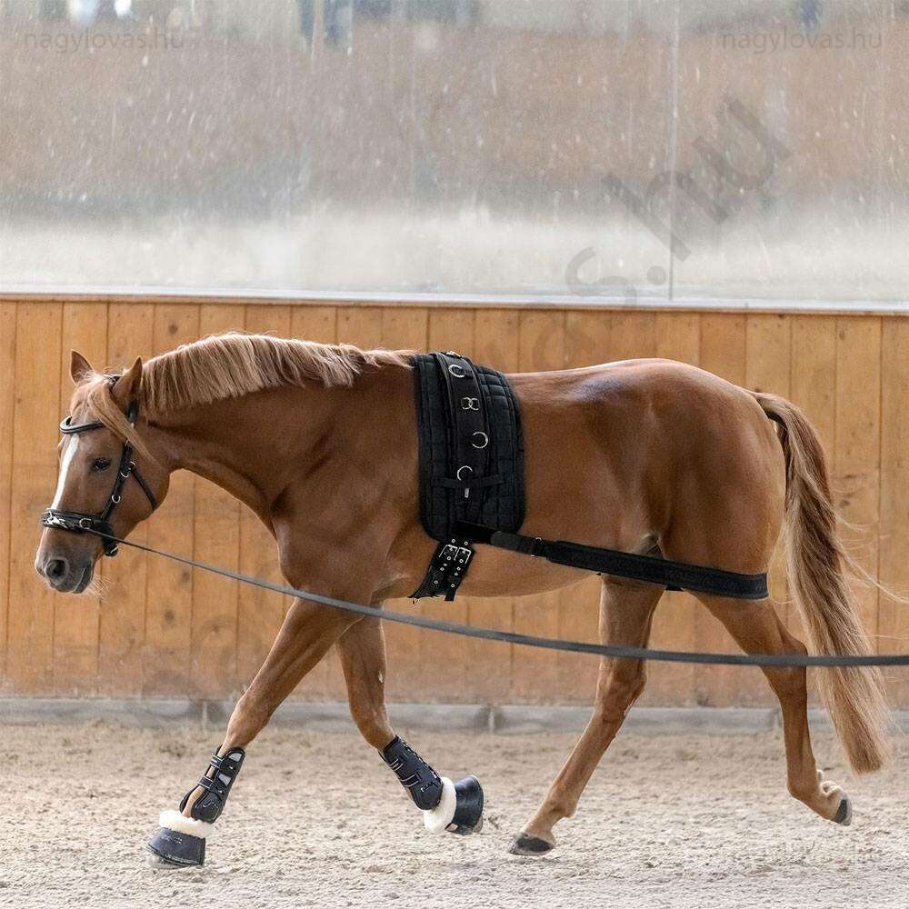 Waldhausen futószárazáshoz hátsó heveder 