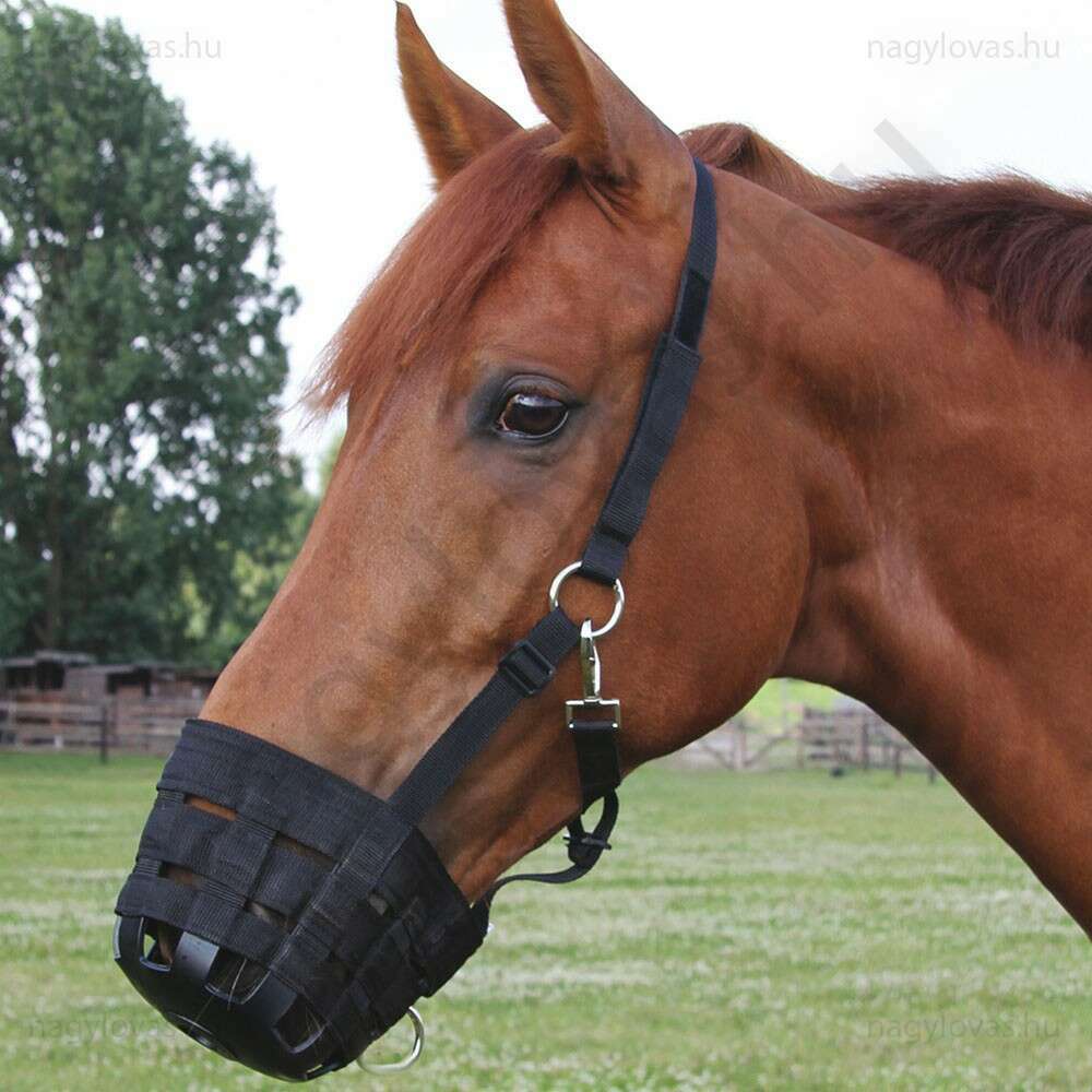 Waldhausen lószájkosár cob