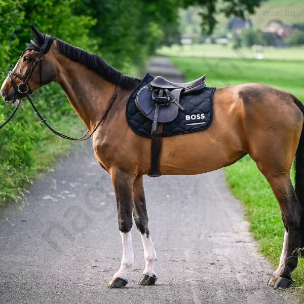 Boss Cheltenham Jumping nyeregalátét fekete