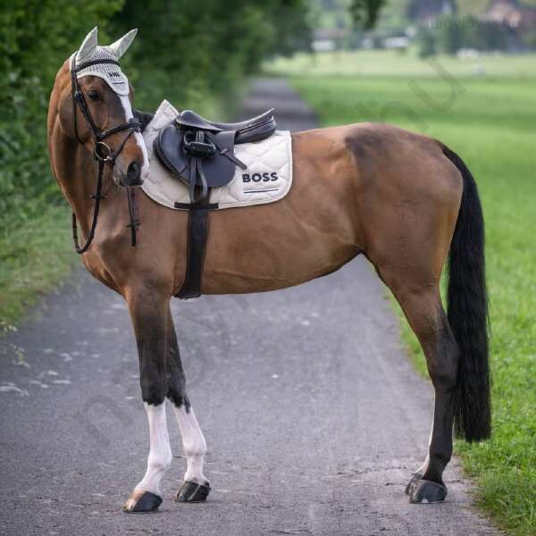 Boss Cheltenham Jumping nyeregalátét pumice
