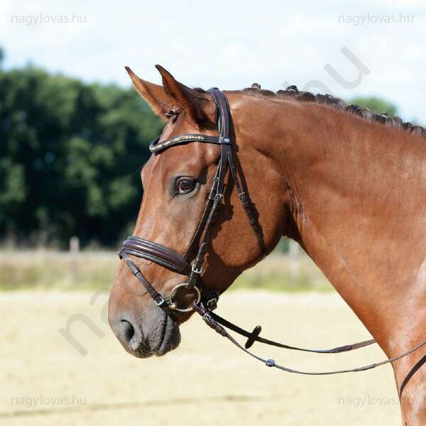 Busse Comfort kantár cob