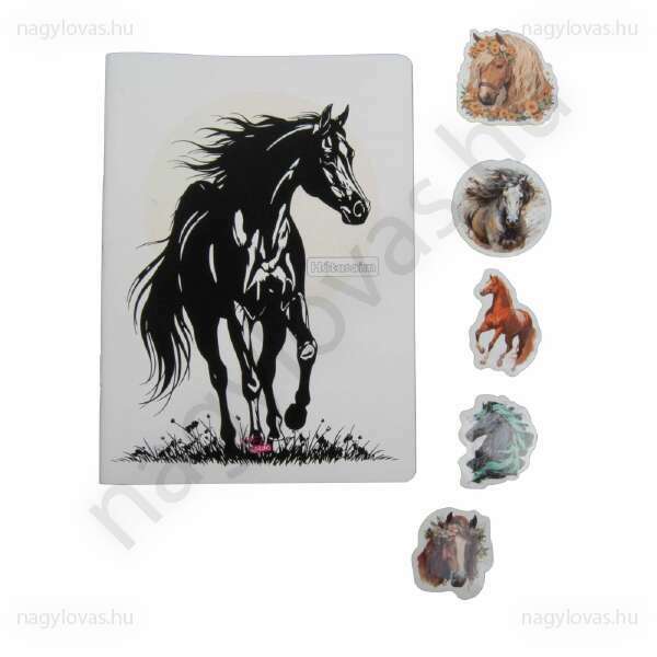 Hátasaim füzet(könyv)