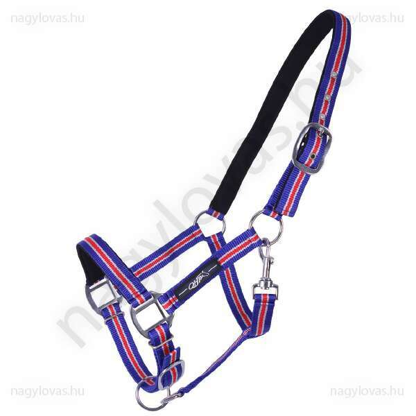 Head collar Icelandic Cobalt blue Cob