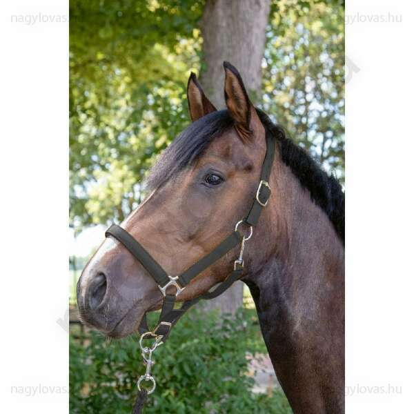 Kötőfék gurtnis bélelt fekete