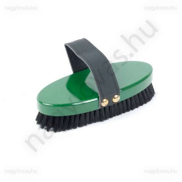 Lakozott műanyag kefe 17X7cm