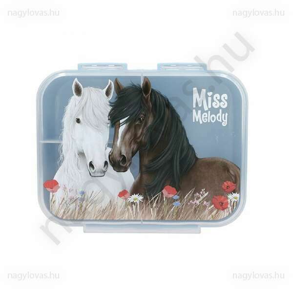 Miss Melody uzsonásdoboz