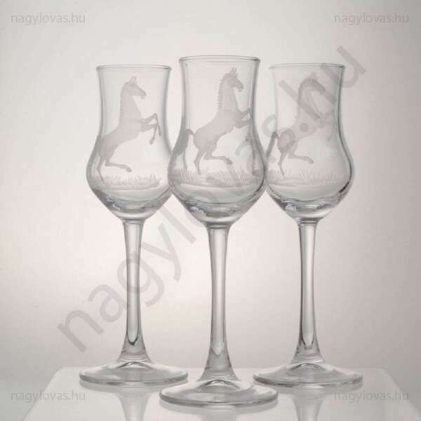Pálinkás csiszolt pohár 6db/szett