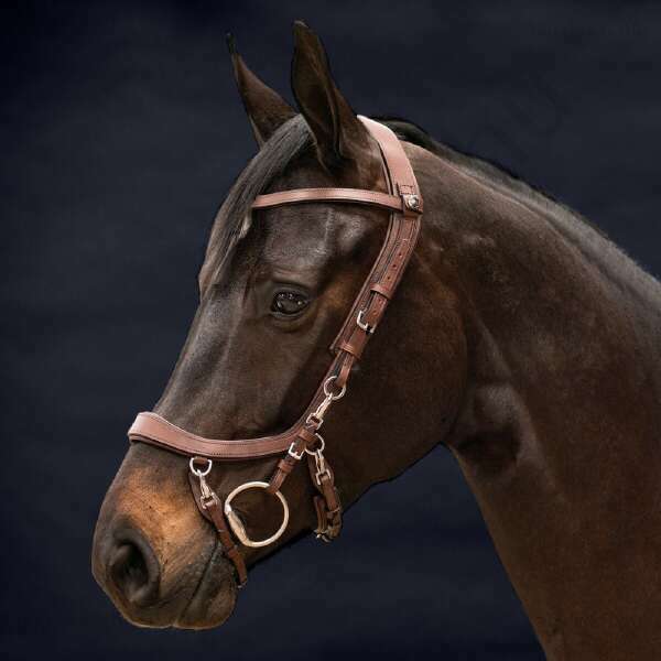 QHP FaySport anatómiai kantár barna póni