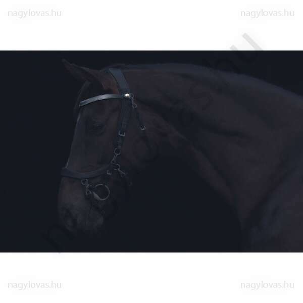 QHP  FaySport homlokszíj fekete póni