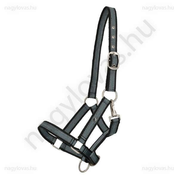 QHP kötőfék egyéves csikóra Palm Green