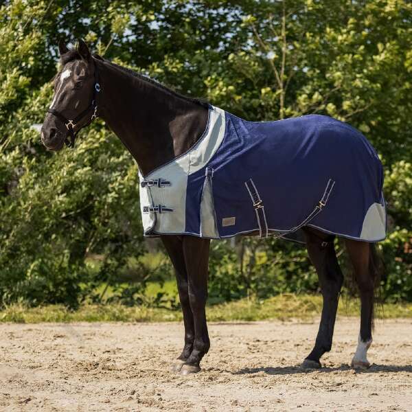 QHP légytakaró kék 155 cm