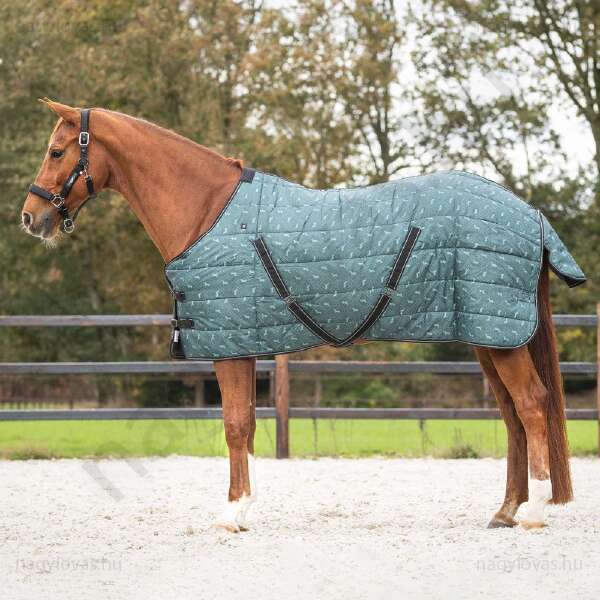 QHP lótakaró istálló 200 gr. zöld 165 cm