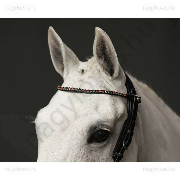 QHP ShineBright homlokszíj fekete/burgundi  póni